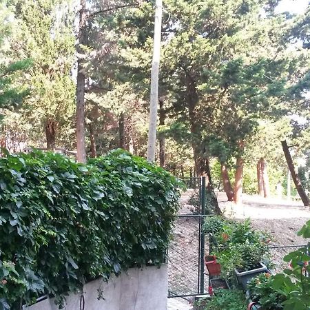 Anamarija Apartman Dubrovník Exteriér fotografie