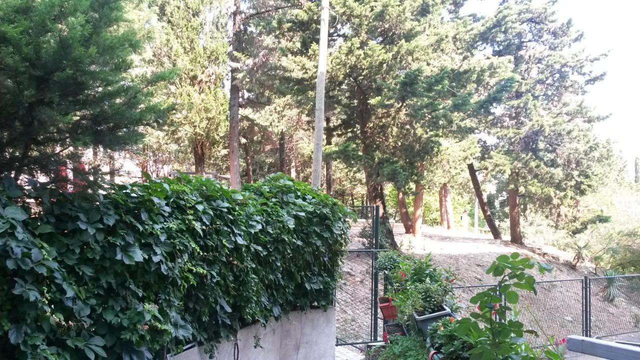 Anamarija Apartman Dubrovník Exteriér fotografie