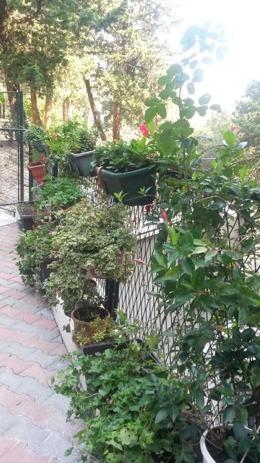 Anamarija Apartman Dubrovník Exteriér fotografie